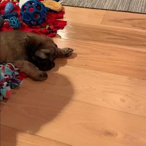 Meet your Posher, Sara